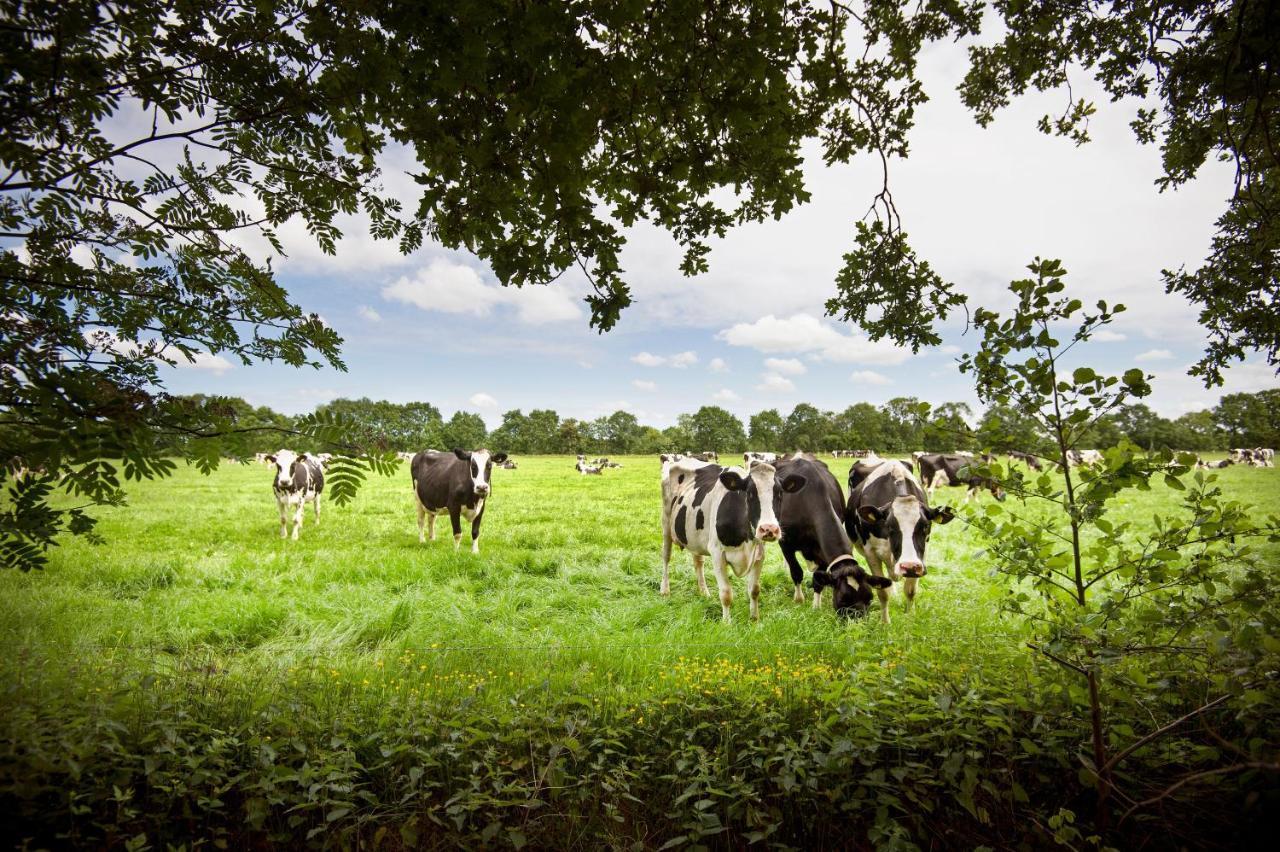 Countryside Eco Natuurhuisjes Ee Exterior foto