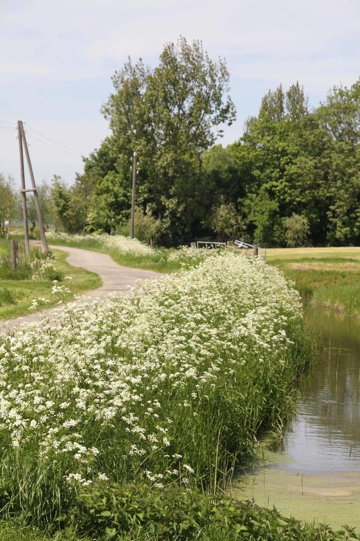 Countryside Eco Natuurhuisjes Ee Exterior foto