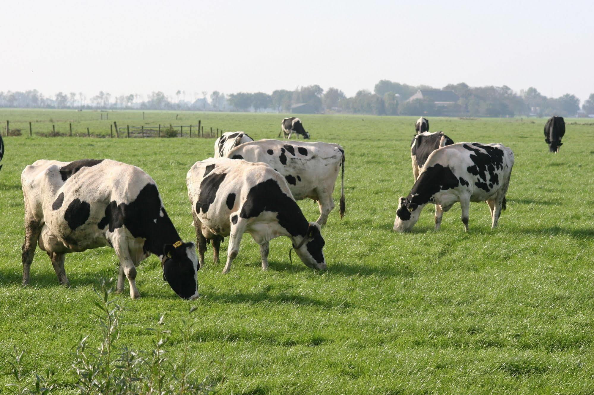 Countryside Eco Natuurhuisjes Ee Exterior foto